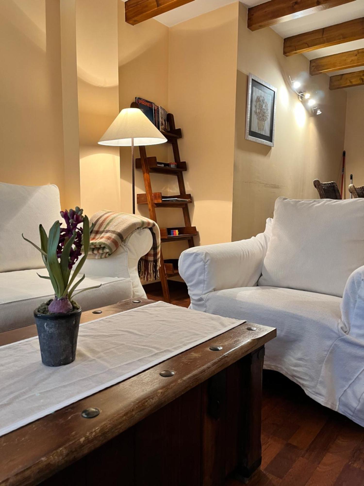 Luxury House Valencia D'Aneu Lejlighed Eksteriør billede