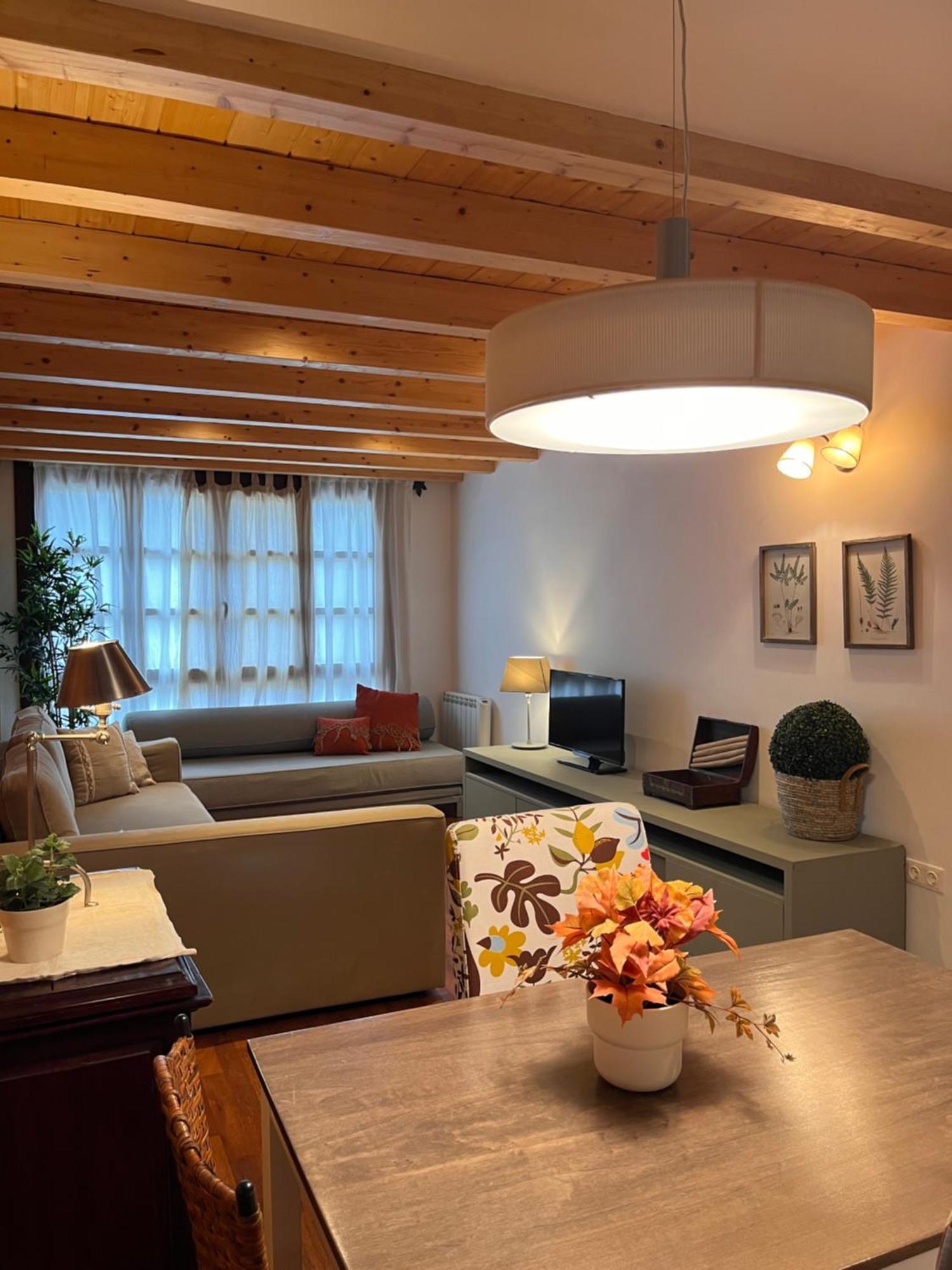 Luxury House Valencia D'Aneu Lejlighed Eksteriør billede